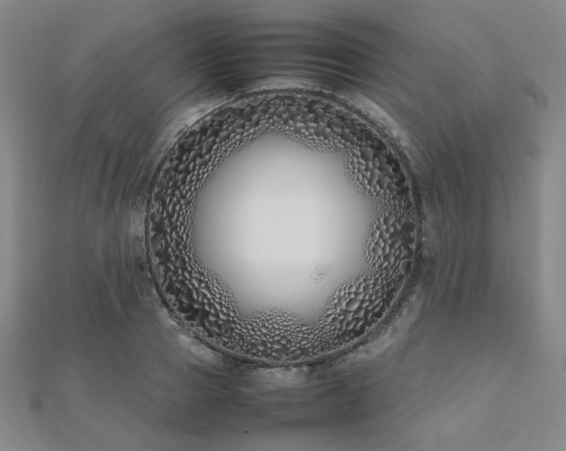 X0000112490937200908171244