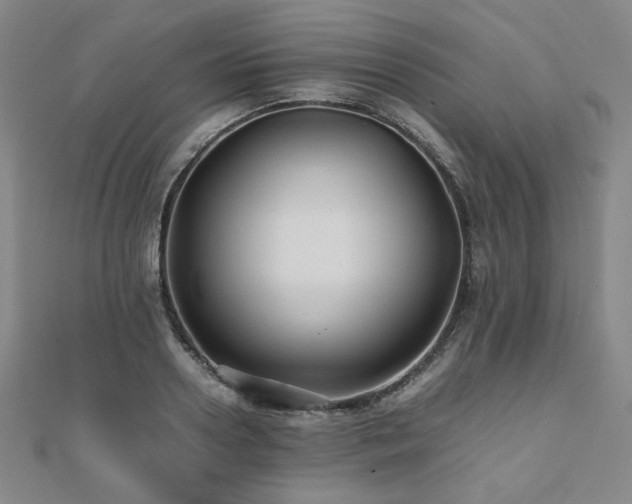 X0000112490938200908171244