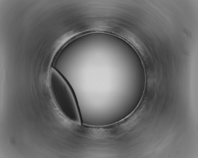 X0000112490940200908171244
