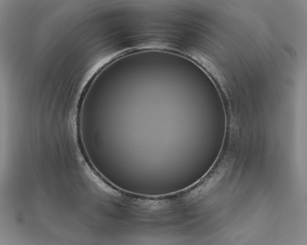 X0000112490941200908171244