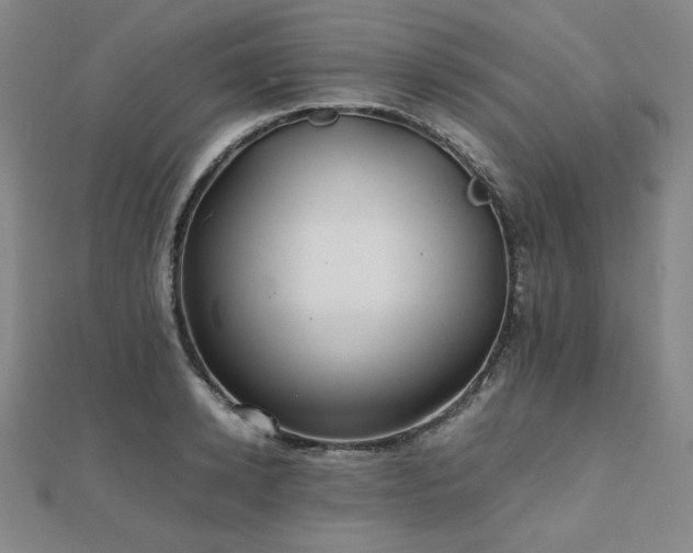 X0000112490942200908171244