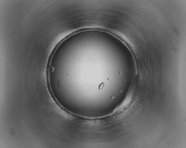 X0000112490943200908171244