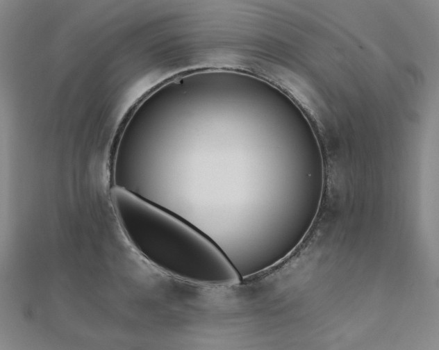 X0000112490944200908171244