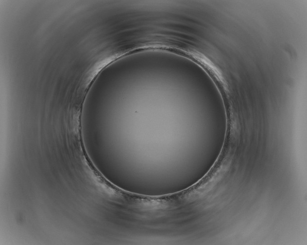 X0000112490945200908171244