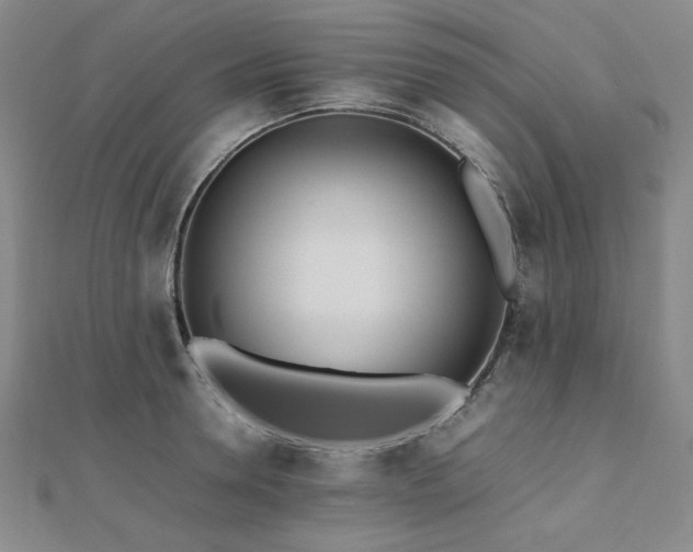 X0000112490946200908171244