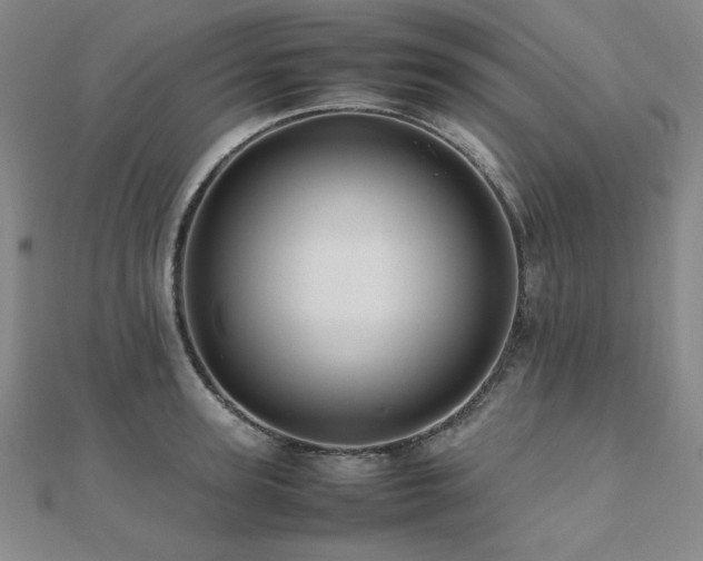 X0000112490947200908171244