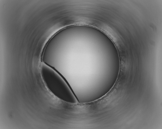 X0000112490948200908171244