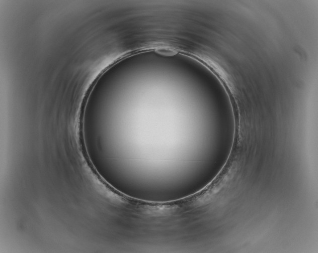 X0000112490949200908171244