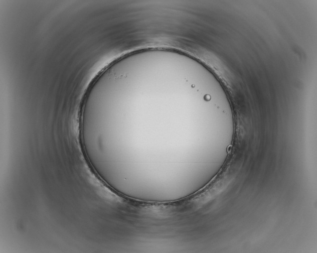 X0000112490950200908171244