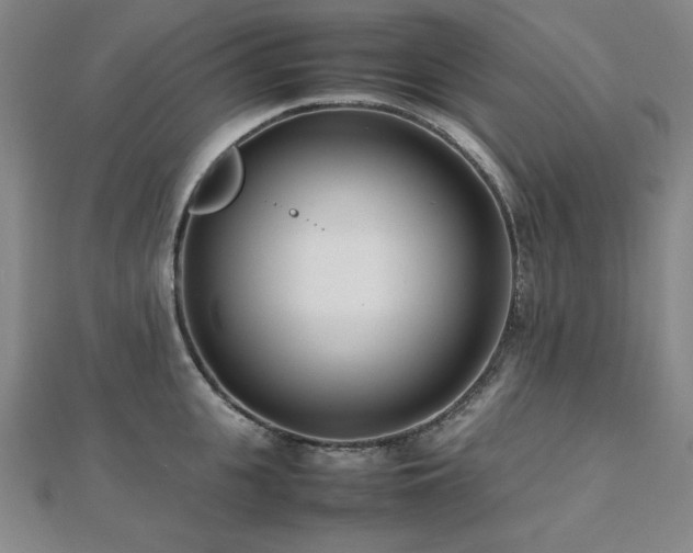 X0000112490951200908171244