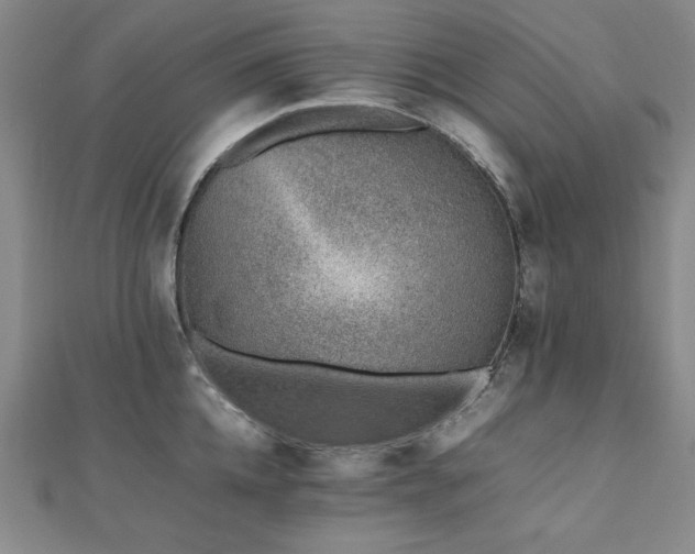 X0000112490952200908171244