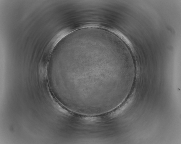 X0000112490953200908171244