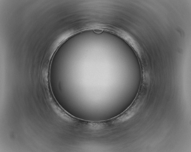 X0000112490954200908171244