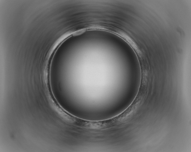 X0000112490955200908171244