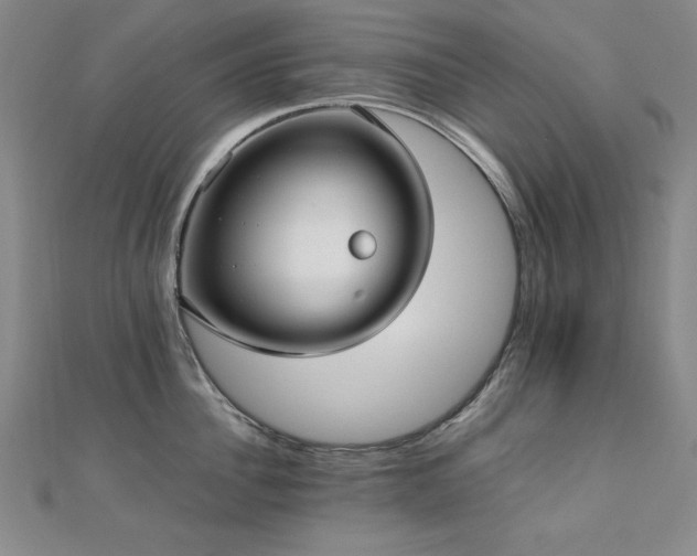 X0000112490956200908171244
