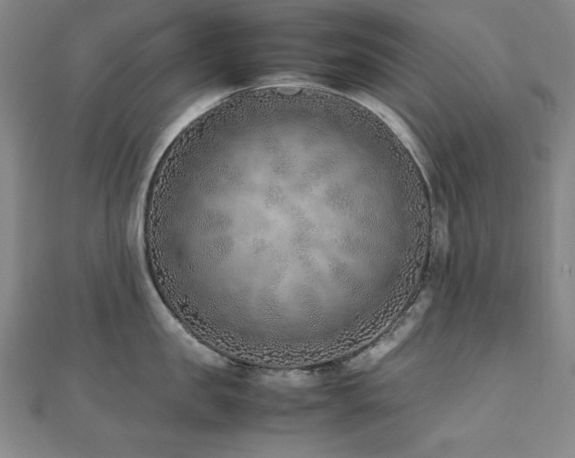 X0000112490957200908171244