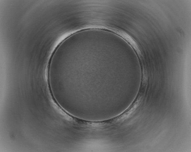 X0000112490958200908171244