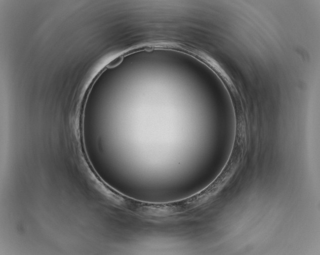 X0000112490959200908171244