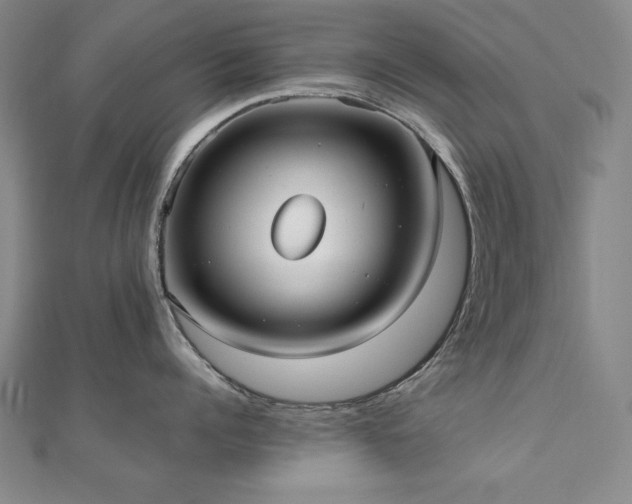 X0000112490960200908171244