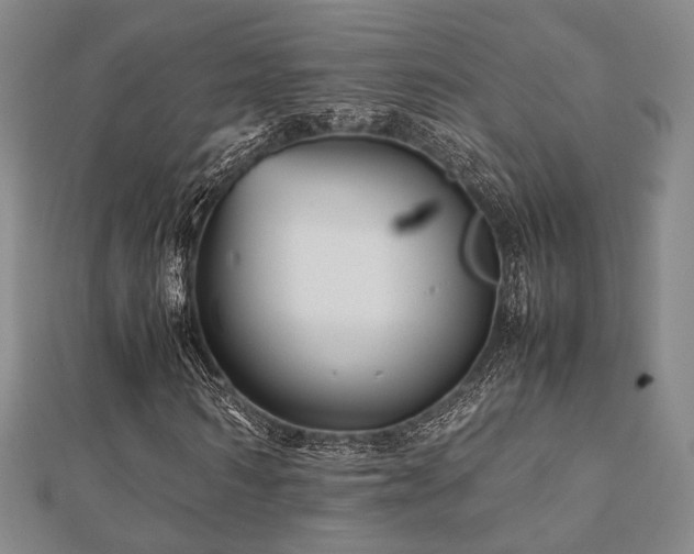 X0000112490962200908171244