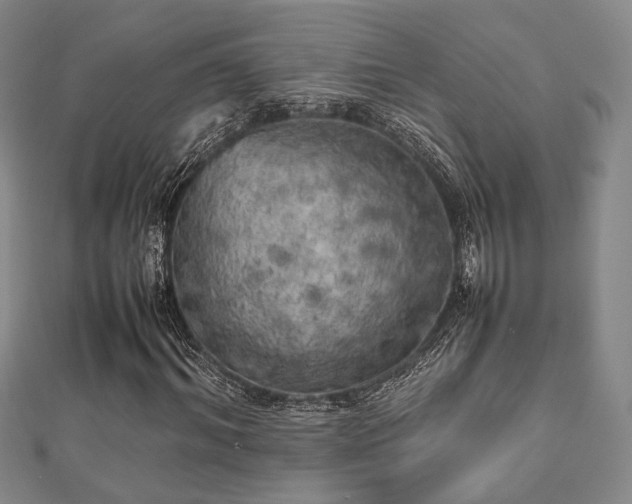 X0000112490964200908171244