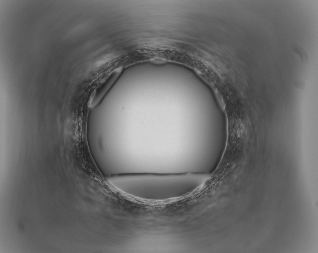 X0000112490965200908171244