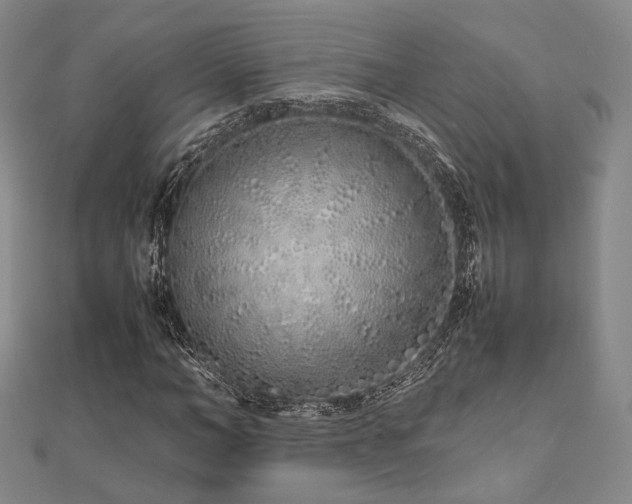 X0000112490966200908171244
