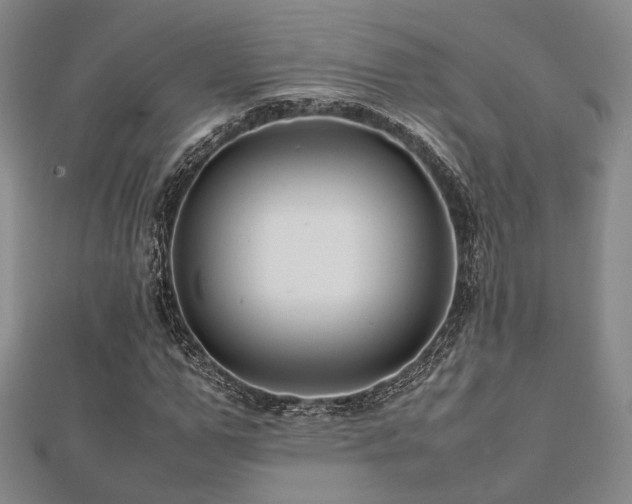 X0000112490967200908171244