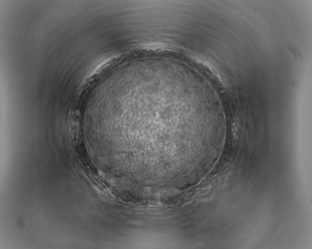 X0000112490968200908171244