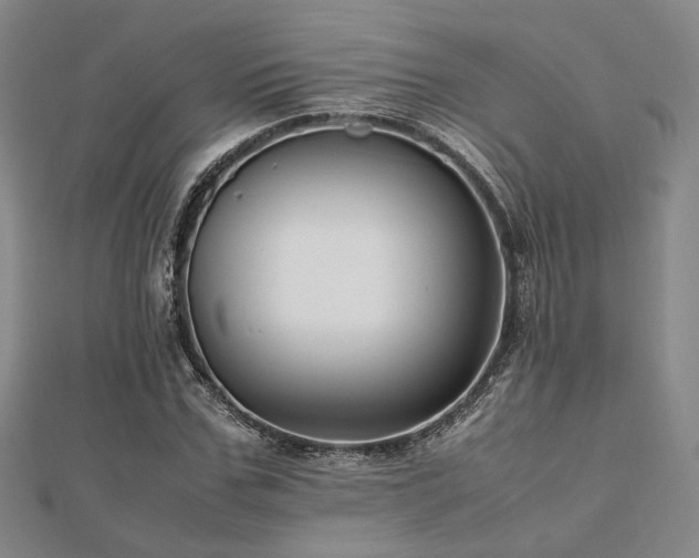 X0000112490971200908171244