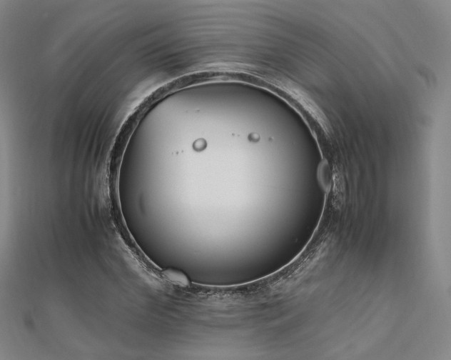 X0000112490972200908171243