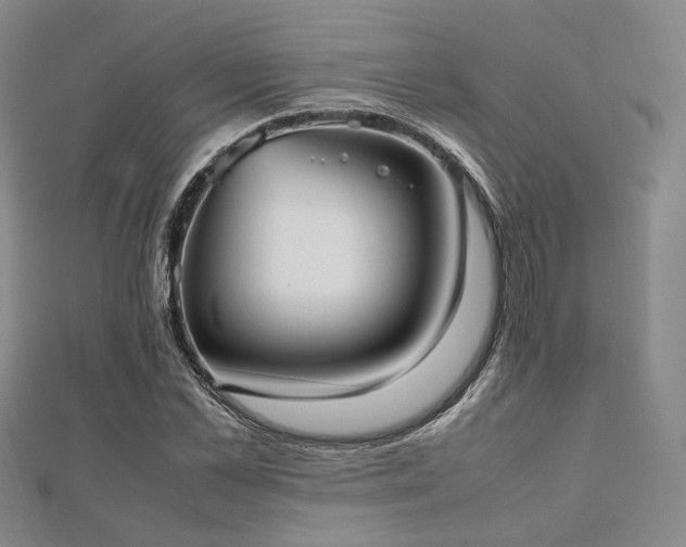 X0000112490973200908171243