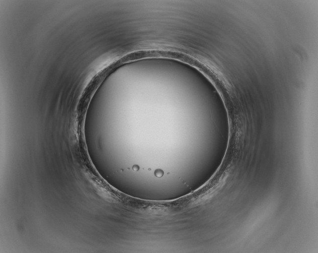 X0000112490974200908171243