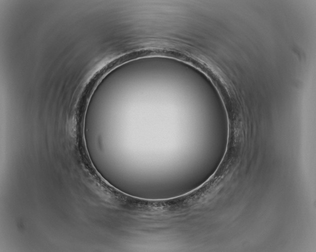 X0000112490975200908171243