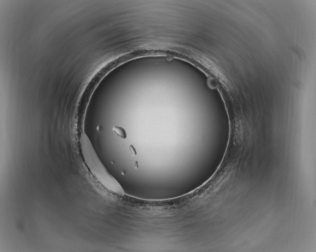 X0000112490976200908171243