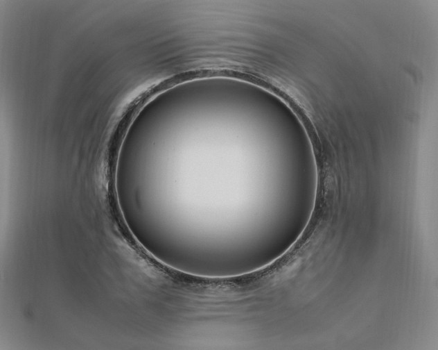 X0000112490979200908171243