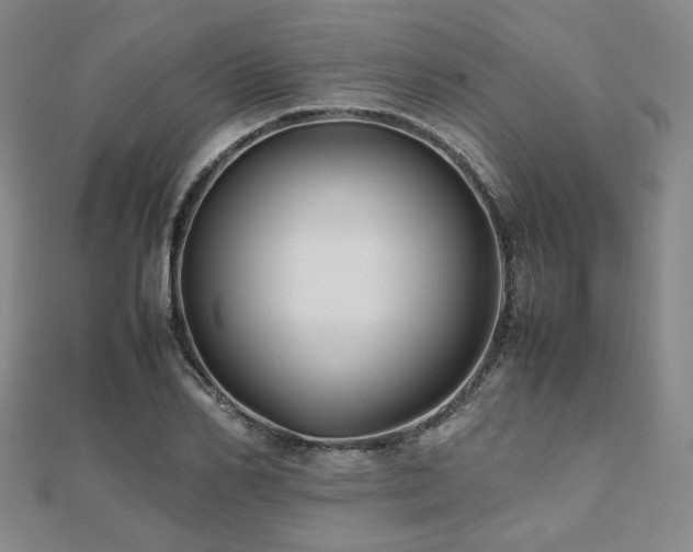 X0000112490982200908171243