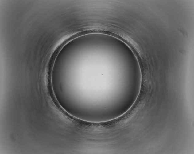 X0000112490983200908171243