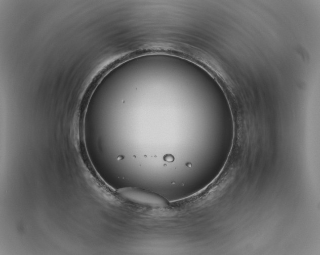 X0000112490984200908171243