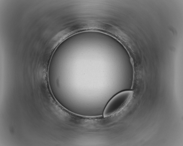 X0000112490985200908171243