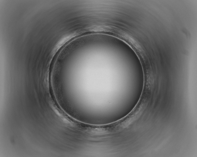 X0000112490986200908171243