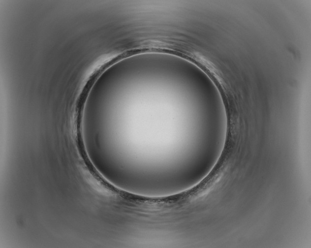 X0000112490987200908171243