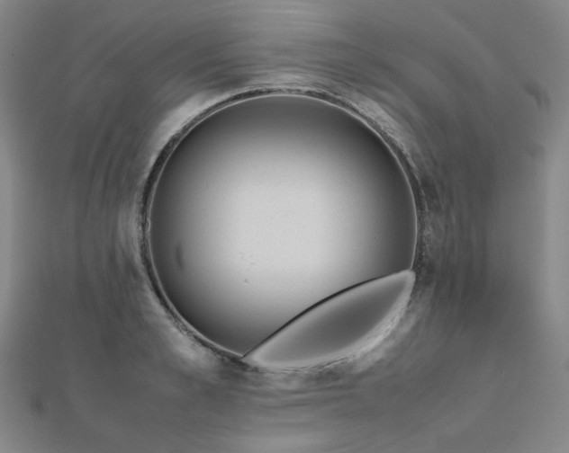 X0000112490989200908171243