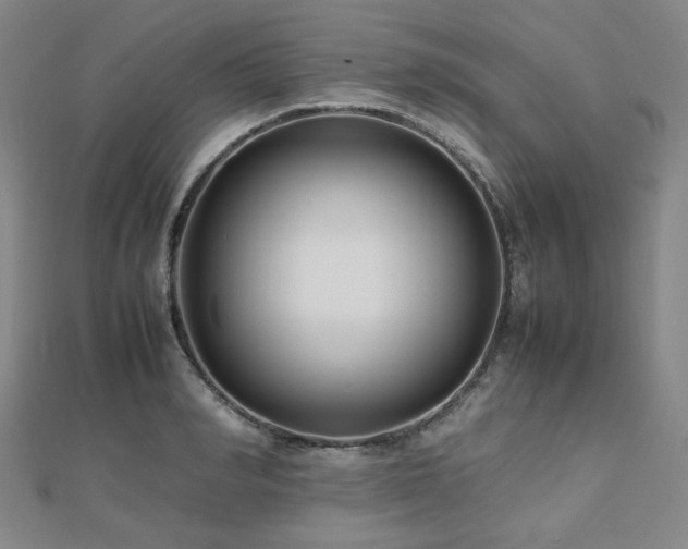 X0000112490990200908171243