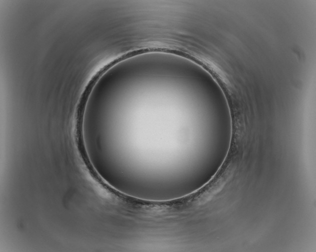 X0000112490991200908171243