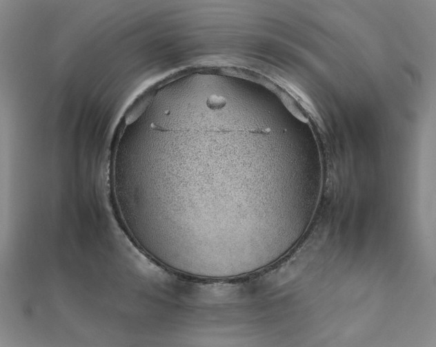 X0000112490992200908171243