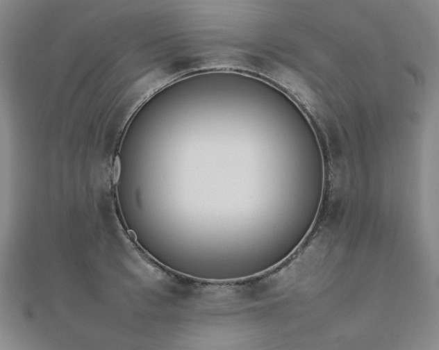 X0000112490993200908171243