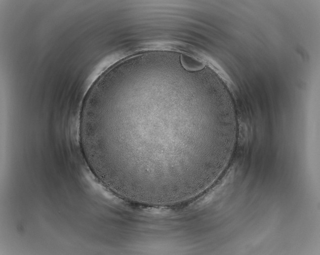 X0000112490994200908171243