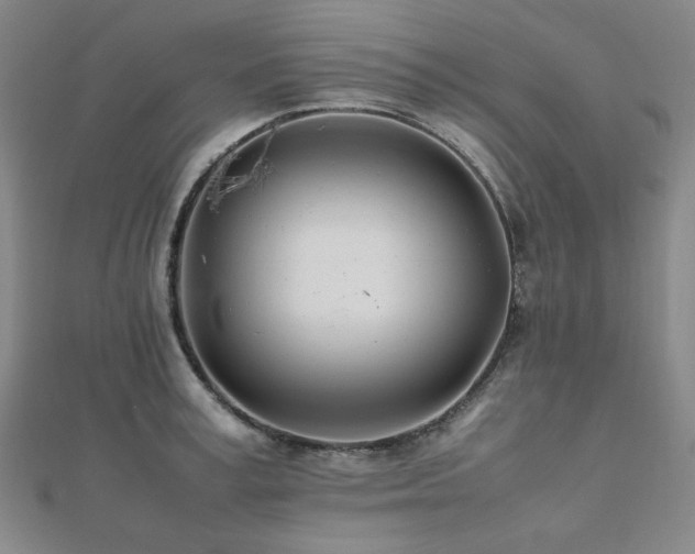 X0000112490995200908171243
