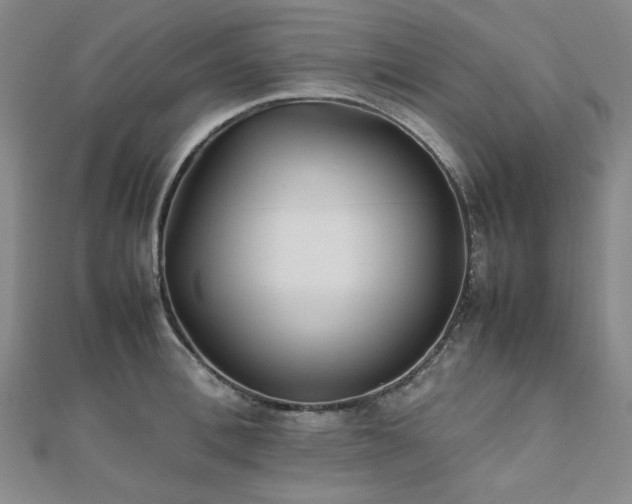X0000112490996200908171243